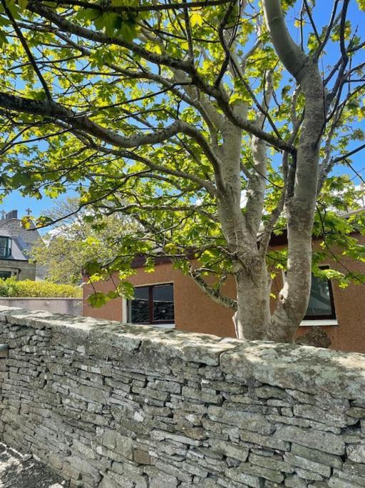 Cosy Cottage In Kveldrso Gardens Lerwick Ngoại thất bức ảnh